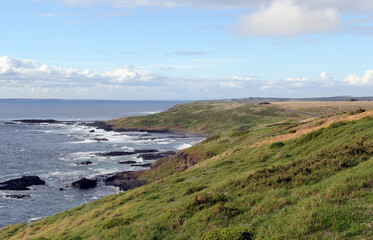 View of the ocean, rocks and grassy hill slopes at The Nobbies on Phillip Island, Victoria,...