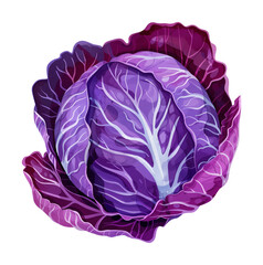 Obraz premium purple cabbage watercolor digital painting good quality
