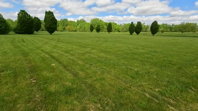 Beautiful summer or springtime scene walking through an open grassy green field that has been freshly mowed. Leafy green trees in the distance. Perfect cloudy blue sky above.