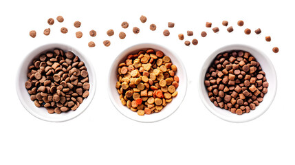 Set of dry dog and cat nutrition food in a white bowl, top view, isolated on a white or transparent background