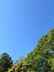 イマソラ