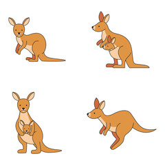 Cute Kangaroo illustration