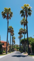 A car-free street in a nice neighborhood in California on a sunny day. Summer, palm trees. California vibe 