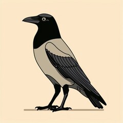 crow bird cartoon flat illustration minimal line art