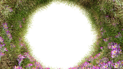 Grass and Flower plants Circle  Frame  on transparent background