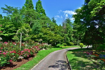 庭園　広島　湧永庭園　新緑
