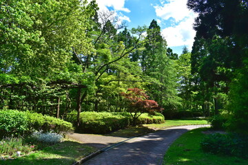 庭園　広島　湧永庭園　新緑
