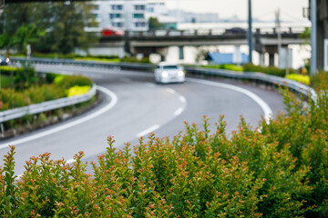 Roadway with green landscape buffer as divider. Green city concept.