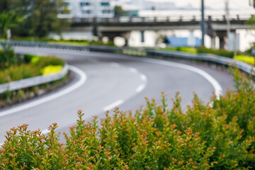 Roadway with green landscape buffer as divider. Green city concept.