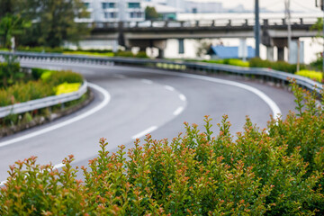 Roadway with green landscape buffer as divider. Green city concept.