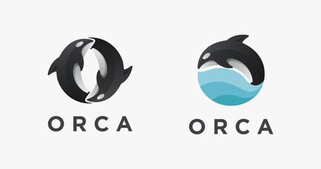 Modern couple of orca killer whale logo icon vector on white background