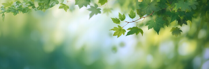 A leafy tree branch with a blue sky background. The leaves are green and the sky is clear. for banner design - Powered by Adobe