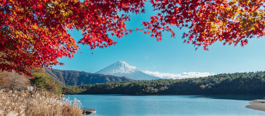 Mount Fuji view at Lake Saiko in Autumn season. Mt Fujisan in Fujikawaguchiko, Yamanashi, Japan....