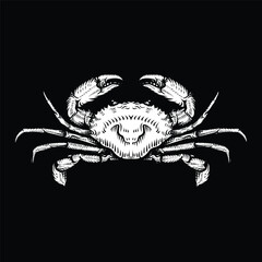 Vintage crab drawing. hand drawn monochrome seafood illustration.