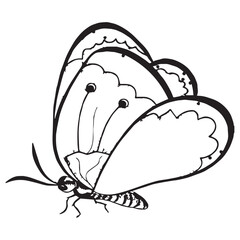 Butterflies silhouette black background on white Background