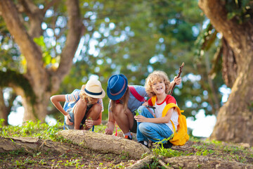 Kids explore nature. Children hike in sunny park.