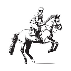 Equestrian Sports Illustration Horse Rider Vector isolated on white