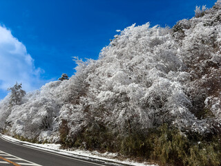 snow covered road
