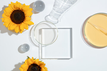 Laboratory glassware and sunflower placed surround a glass platform in center, harmonious arrange...
