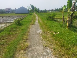 path in the countryside