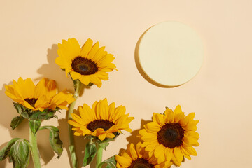 Colorful background against some sunflowers flat lay on, a serum bottle in white color without...