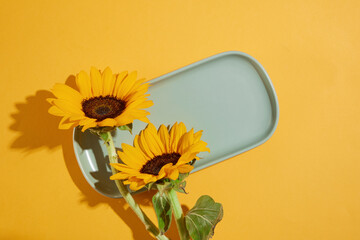 A blank rectangle blue tray displayed on yellow background with some sunflowers as an accent....