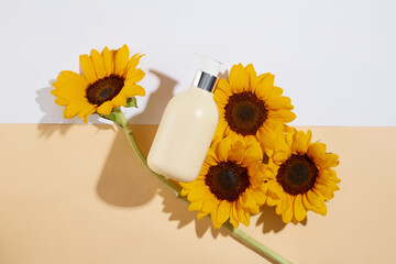 Sunflower photography with an empty round podium on light pink background. Sunflower is one of most...