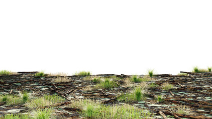 Forest floor with grass and dry logs on a transparent background