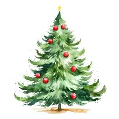 Watercolor Christmas tree isolated on white background. Hand drawn illustration.