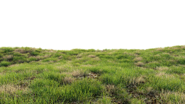 Green field with dry grass, beautiful nature on a transparent background