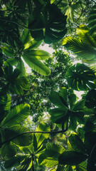 Tropical green leaves create a lush and vibrant background