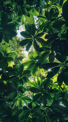 Tropical green leaves create a lush and vibrant background