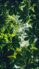 Tropical green leaves create a lush and vibrant background