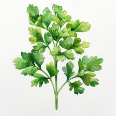 Detailed and vibrant watercolor painting of fresh parsley, perfect for culinary and artistic themes.