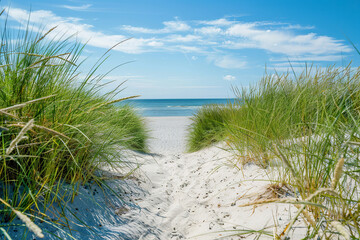 Sandy Path to the Ocean Through Dunes