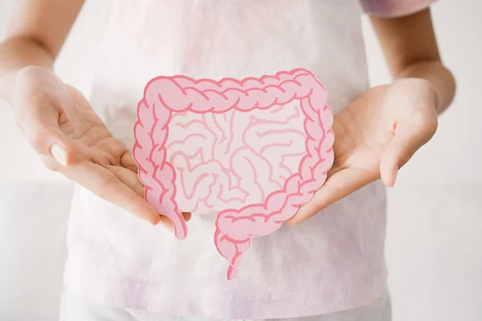 Preteen girl hands holding intestine shape, healthy bowel digestion, leaky gut, probiotic and prebiotic for gut health, preteen and teen gut health concept