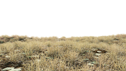 dry grass field on transparent background