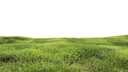 Green field with dry grass, beautiful nature on a transparent background