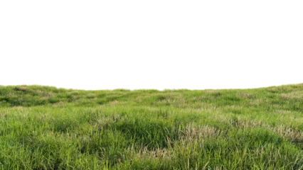 Stickers Weide Green field with dry grass, beautiful nature on a transparent background  © Nawaphon