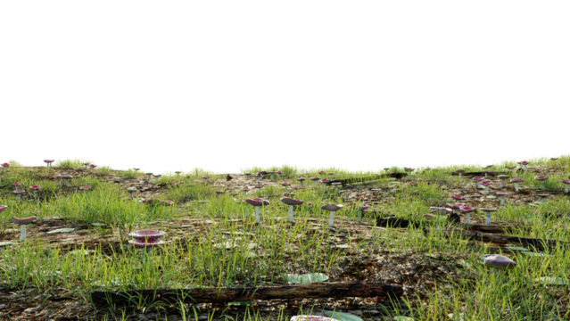 Lush green lawn with mushrooms and fresh natural dry logs isolated on transparent background, 3d render illustration