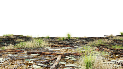 Forest floor with grass and dry logs on a transparent background