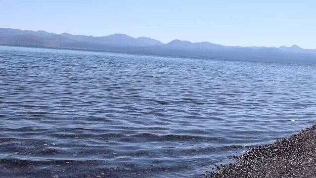 Waves ebbing at Yellowstone Lake