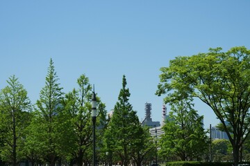 和田倉噴水公園の風景