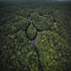 an image of amazon forest trees captured with drone camera #tree #forest #amazon 