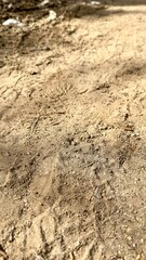 Footprints in the soft sand, beside a lone shoe, tell a silent story of someone’s journey by the shore, leaving traces of their passage.