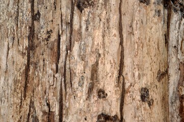 old wooden background