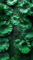 Huge lotus leaves as the background of a person rowing in the water green picture surreal ultra high definition