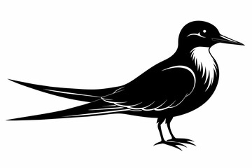 Fototapeta premium Tern silhouette on white background, Vector illustration, icon, svg, characters, Holiday t shirt, Hand drawn trendy Vector illustration, illustration of a seagu