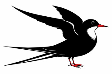 Tern silhouette on white background, Vector illustration, icon, svg, characters, Holiday t shirt, Hand drawn trendy Vector illustration, illustration of a seagu