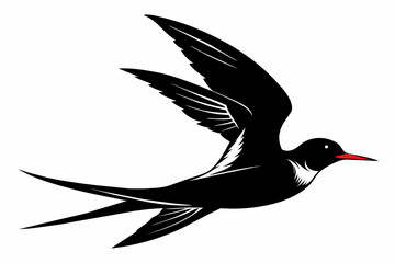 Tern silhouette on white background, Vector illustration, icon, svg, characters, Holiday t shirt, Hand drawn trendy Vector illustration, illustration of a seagu